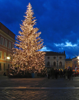 Albero di Natale in piazza a Ravenna