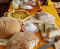Antichi Sapori a Cattolica, esposizione