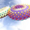 International Sprint Kite