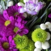 Cattolica in Fiore