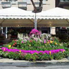 Cattolica in Fiore
