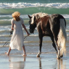 Cavallo e ragazza in spiaggia