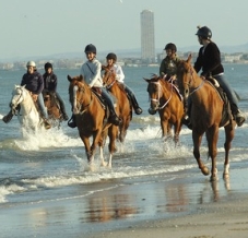 Cervia, A Cavallo del Mare