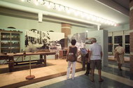Il Museo della Marineria a Cesenatico Il Museo della Marineria a Cesenatico