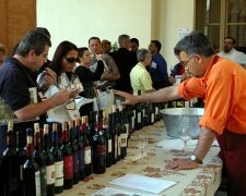 Degustazione di vino Degustazione di vino