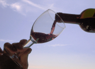 Degustazione vino a Squisito Degustazione vino a Squisito