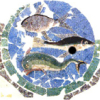 Domus del Chirurgo a Rimini, particolare del mosaico