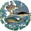 Mosaico della Domus, pesci