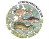 Mosaico della Domus del Chirurgo