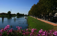 Particolare di Jesolo Particolare di Jesolo