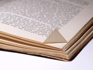 Festival Mare di Libri