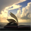 Mare di Libri