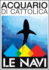 Le Navi a Cattolica Le Navi a Cattolica