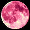 luna notte rosa