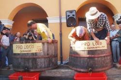Capodanno del vino Capodanno del Vino a San Giovanni in Marignano 2009