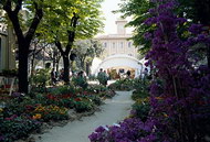 Mercatini di Cattolica in Fiore
