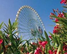 Mirabilandia Parco Attrazioni Mirabilandia Parco Attrazioni