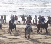 Partita di polo, Rimini Partita di polo, Rimini