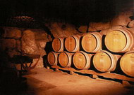 Botti in una cantina romagnola Botti in una cantina romagnola