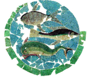 Mosaico della Domus del Chirurgo