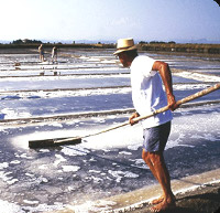 Saline di Cervia