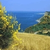 Veduta del mare adriatico da Monte San Bartolo