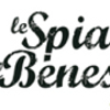 Spiagge del Benessere, relax in spiaggia