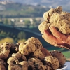 Tartufo bianco