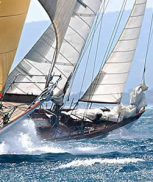 Vela, costa marchigiana Vela, costa marchigiana