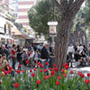 Viale Ceccarini a Riccione