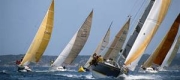regata di Cesenatico.jpg