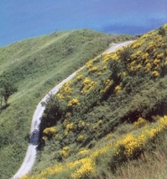 Sentiero sul Monte San Bartolo Sentiero sul Monte San Bartolo